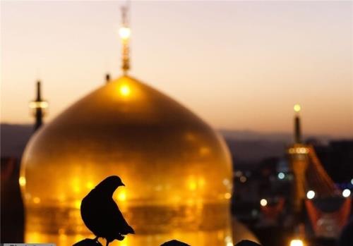 هیچ منعی برای امر زیارت وجود ندارد