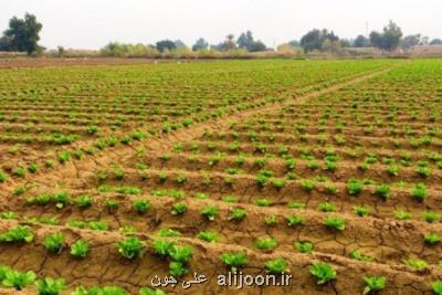 ابلاغ ثبت ملی شخم زدن سنتی زمین به استاندار سیستان و بلوچستان