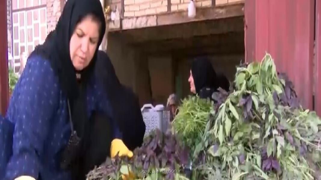بانویی که مزرعه را کارخانه کرد!