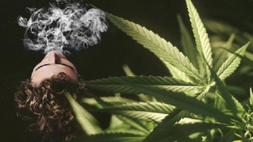 از رویای تمرکز تا جهنم اعتیاد حقیقتی که فضای مجازی پنهان می کند