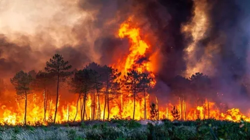 هیرکانی جواهری سبز در چنگال زخم