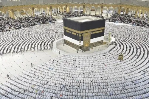 جزئیات مدیریت زائرین متأخر و گم شدگان در حج ۱۴۰۵