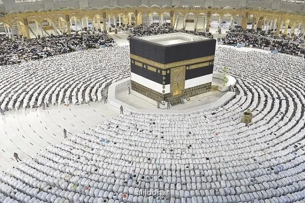 جزئیات مدیریت زائرین متأخر و گم شدگان در حج ۱۴۰۵